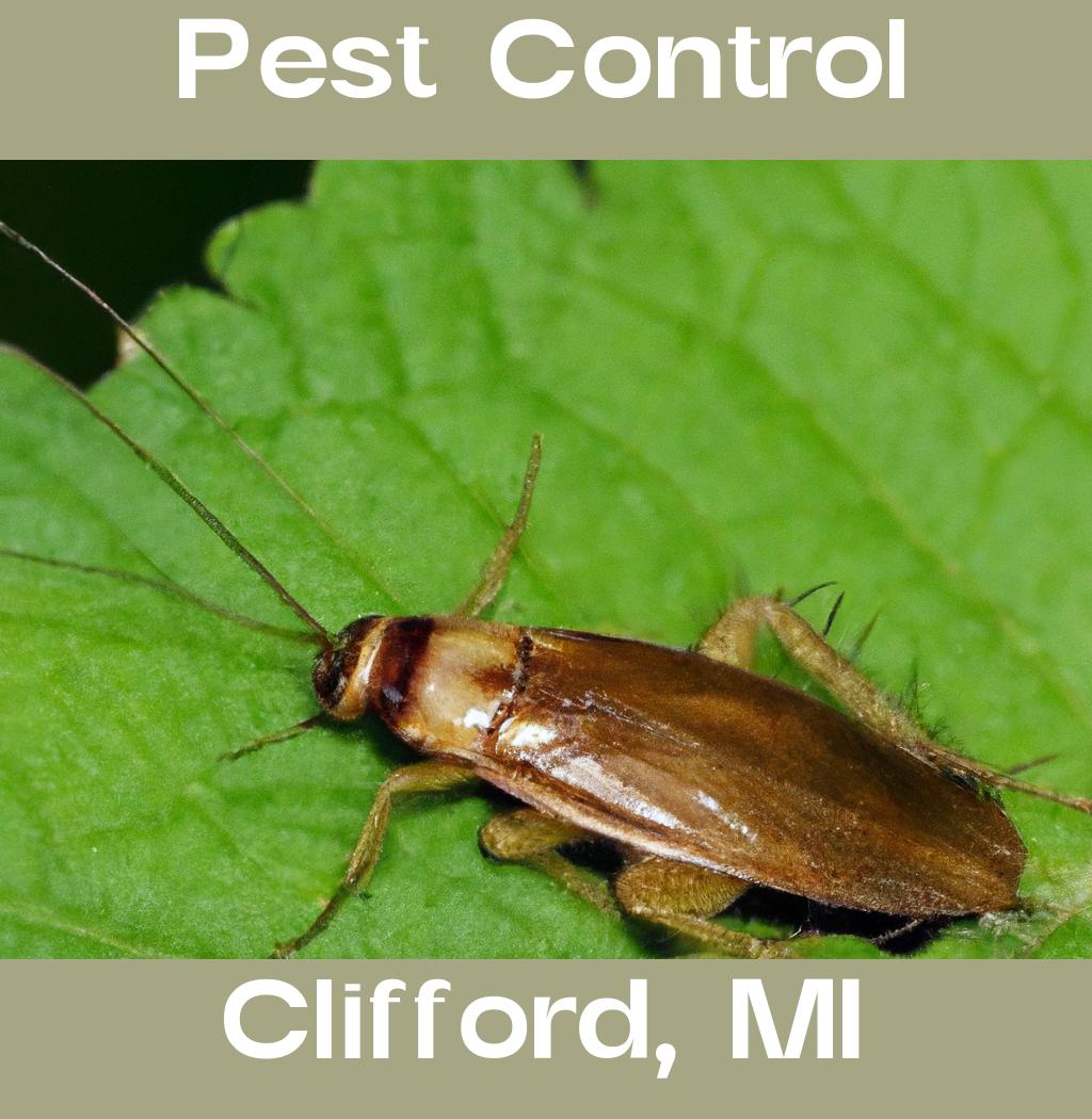 pest control in Clifford Michigan