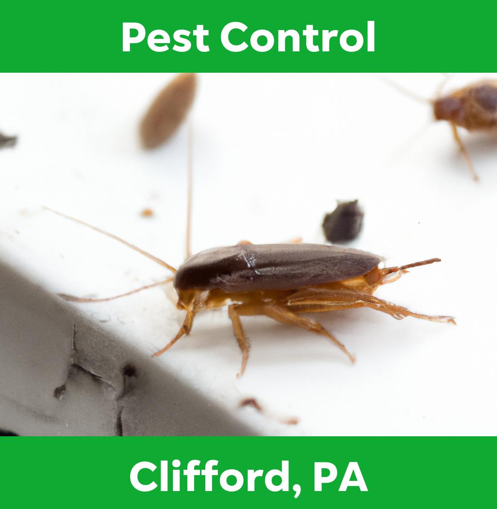 pest control in Clifford Pennsylvania
