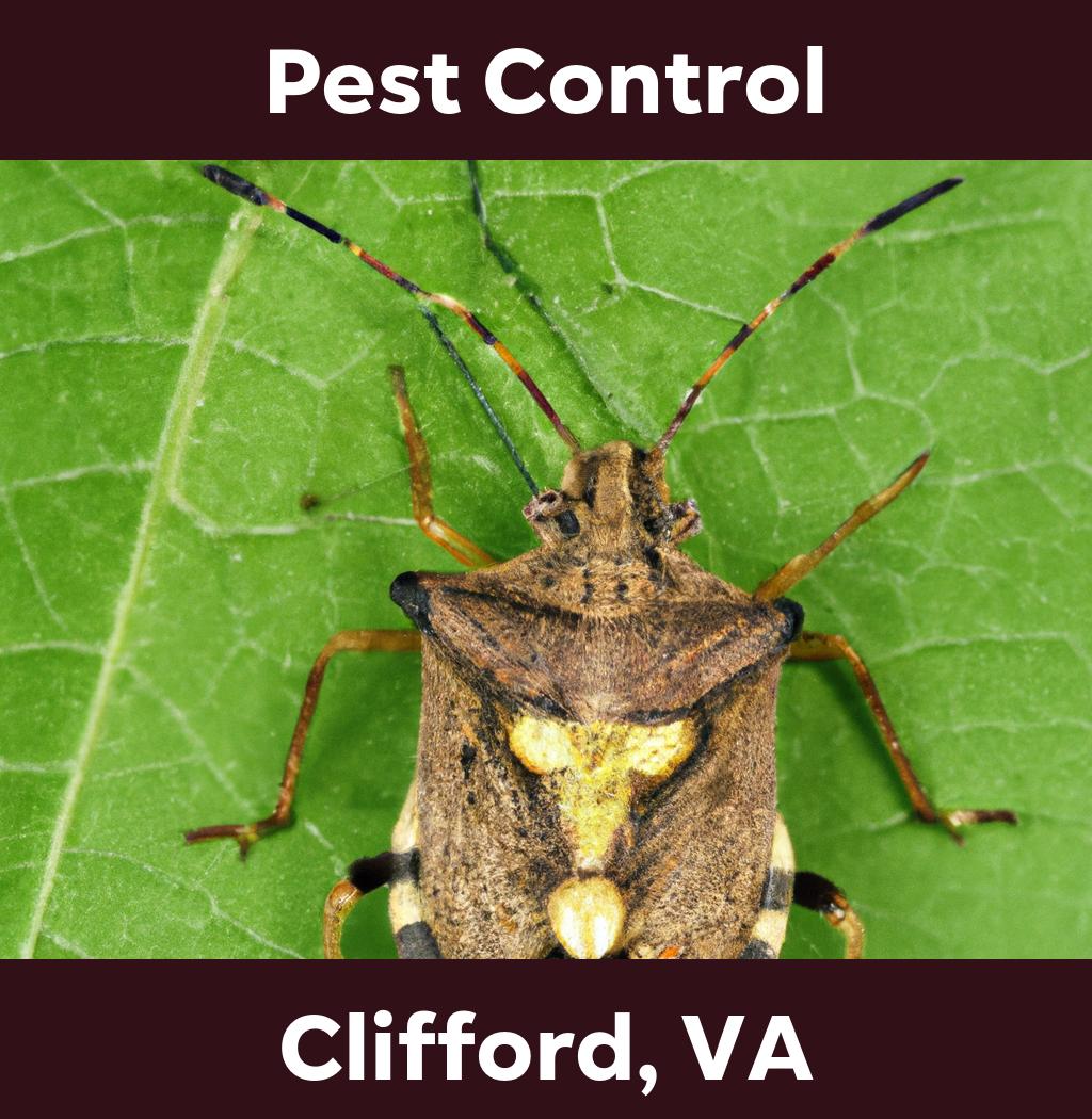 pest control in Clifford Virginia