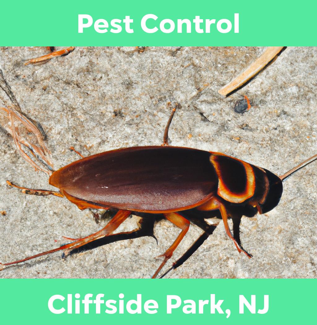 pest control in Cliffside Park New Jersey