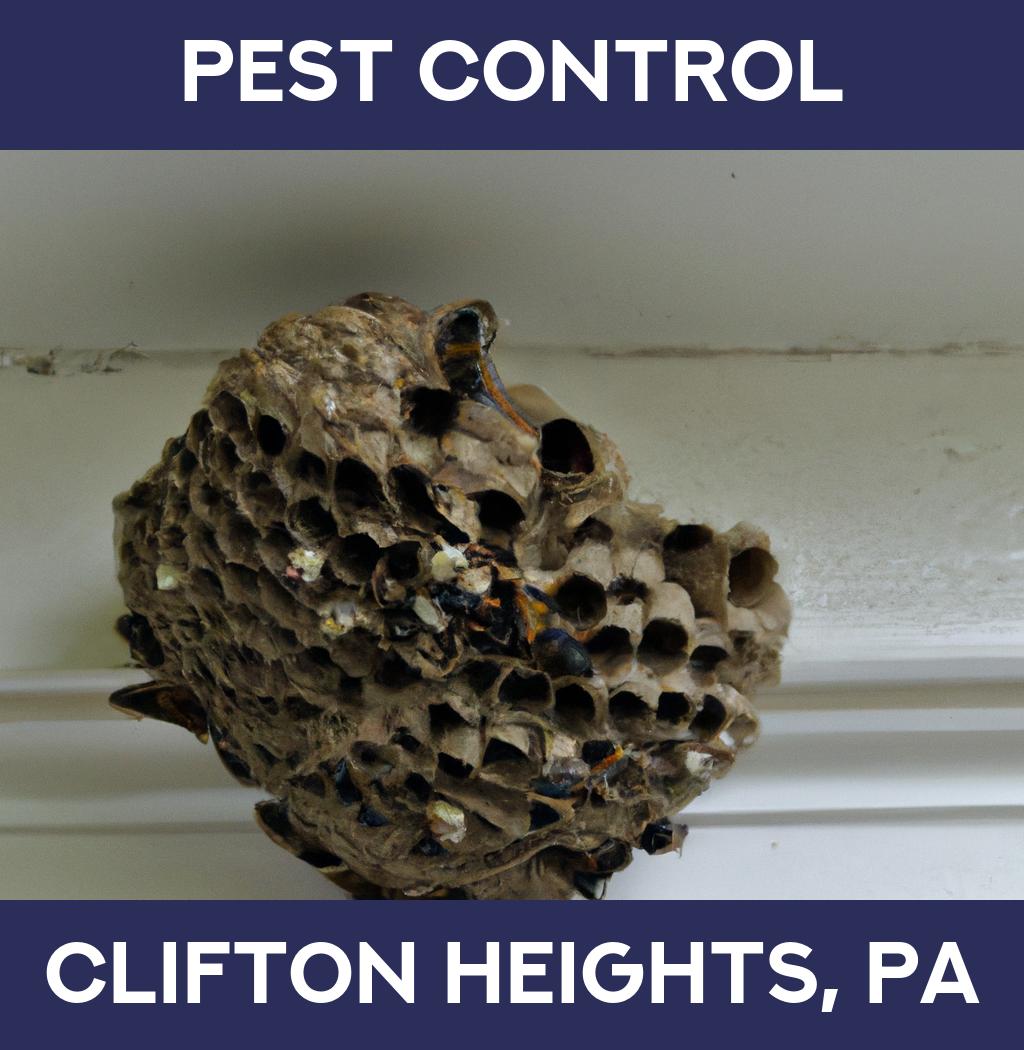 pest control in Clifton Heights Pennsylvania