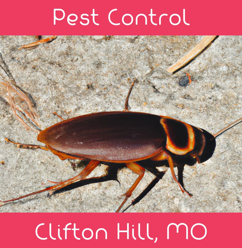 pest control in Clifton Hill Missouri