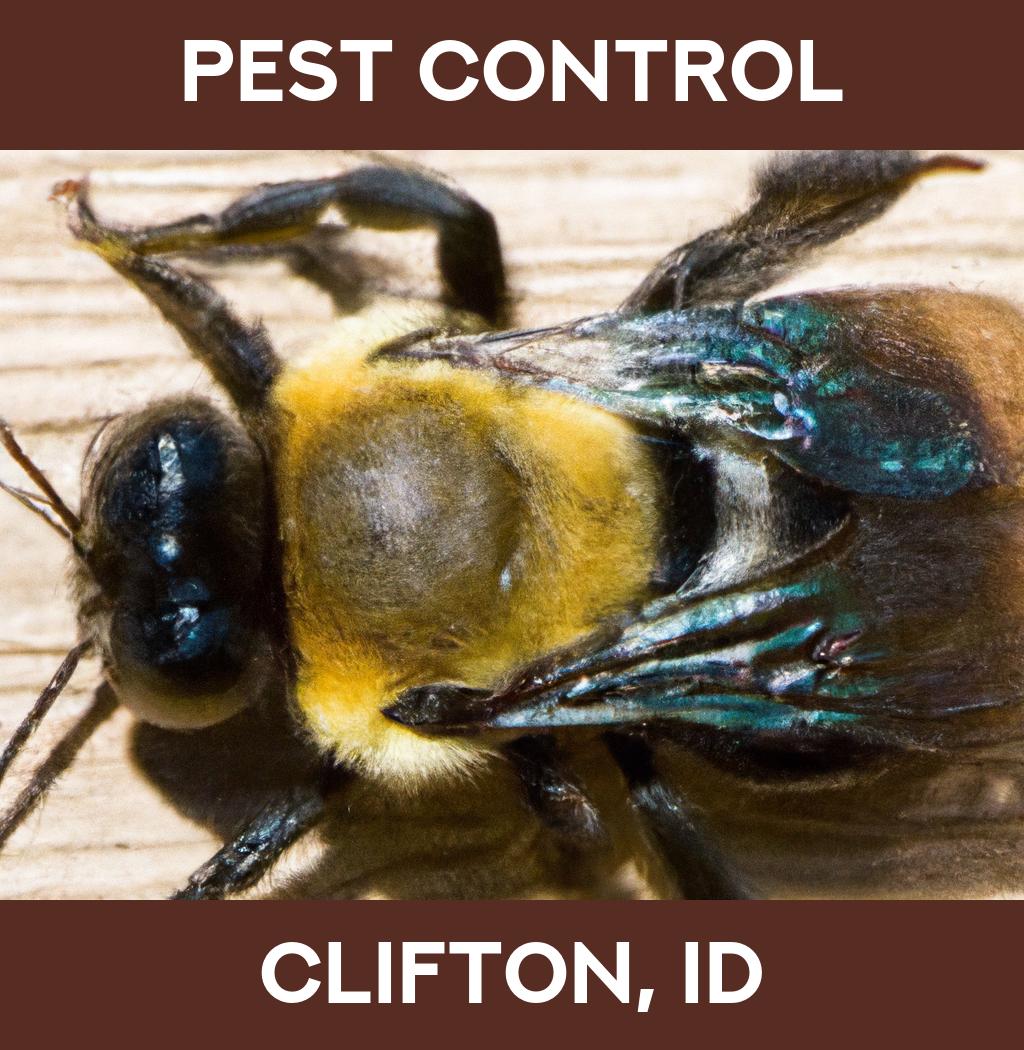 pest control in Clifton Idaho