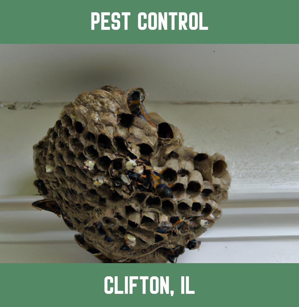 pest control in Clifton Illinois