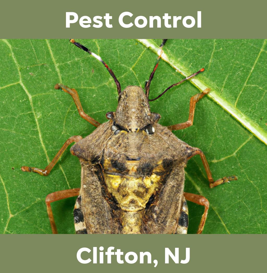 pest control in Clifton New Jersey