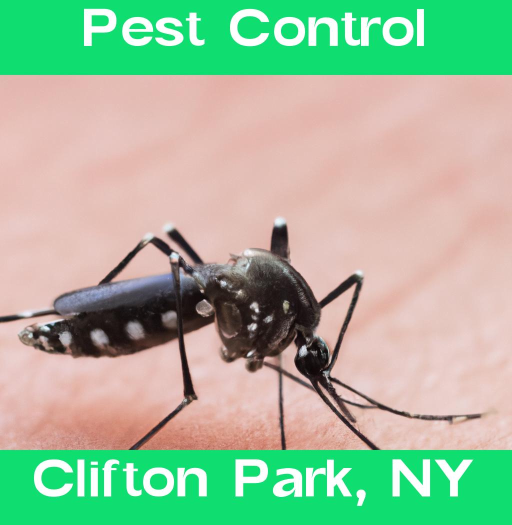 pest control in Clifton Park New York