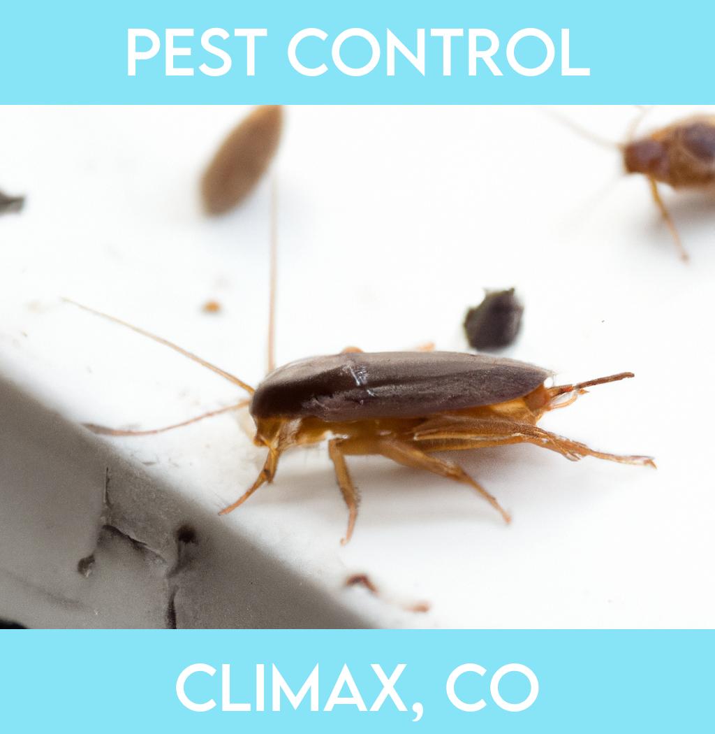 pest control in Climax Colorado