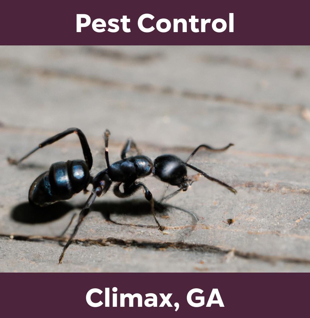 pest control in Climax Georgia