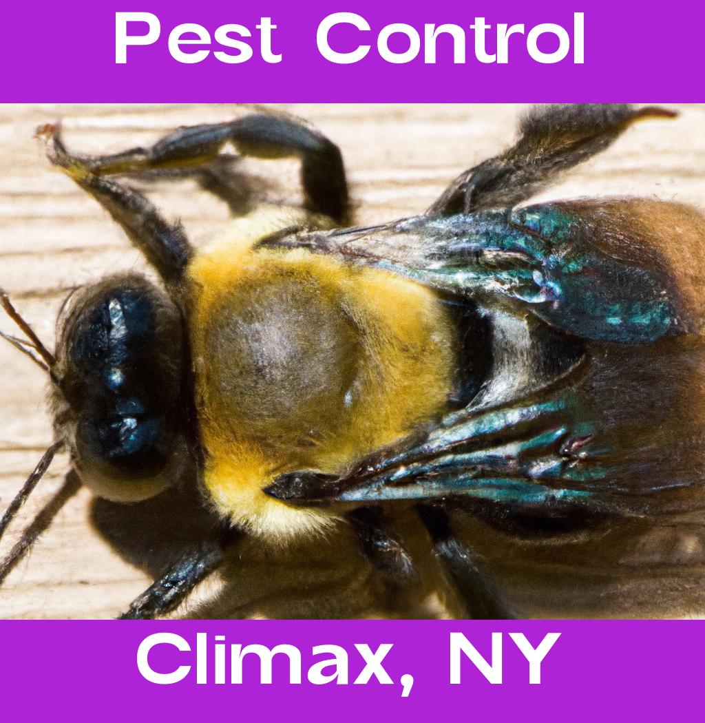 pest control in Climax New York