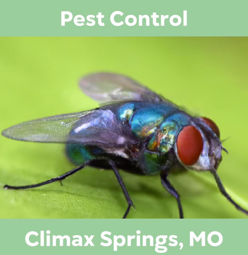 pest control in Climax Springs Missouri