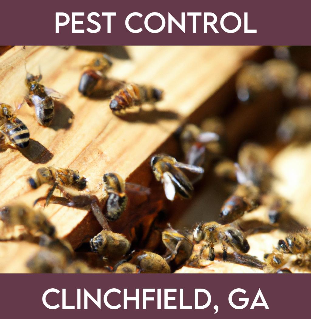 pest control in Clinchfield Georgia
