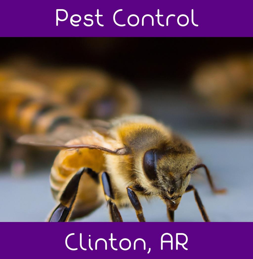 pest control in Clinton Arkansas