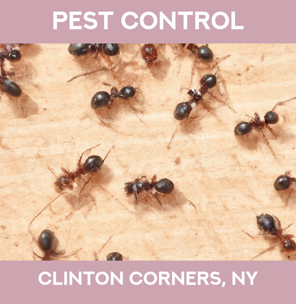pest control in Clinton Corners New York