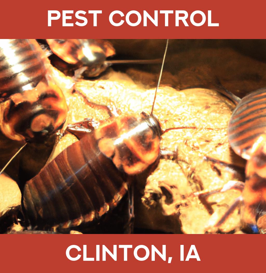 pest control in Clinton Iowa
