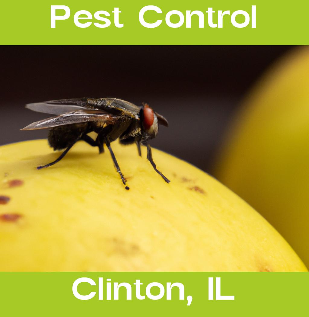 pest control in Clinton Illinois