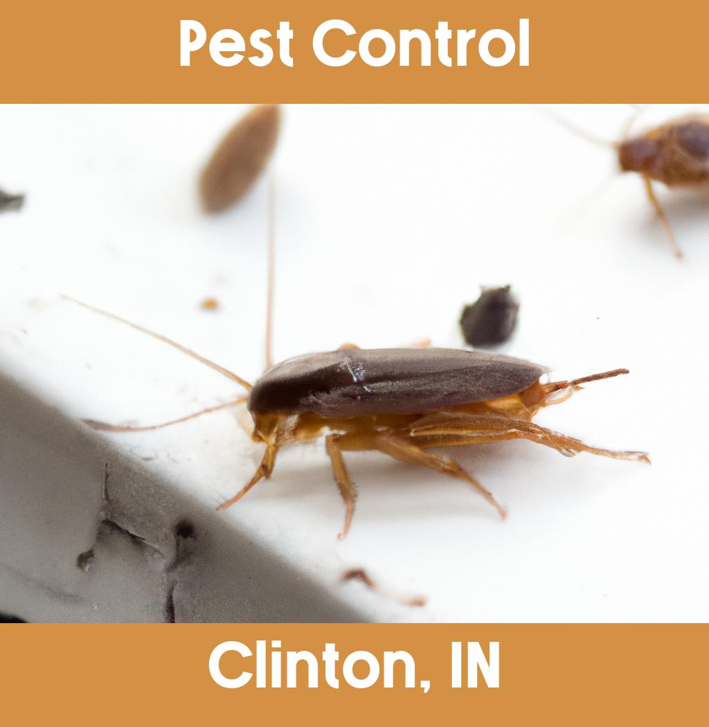 pest control in Clinton Indiana