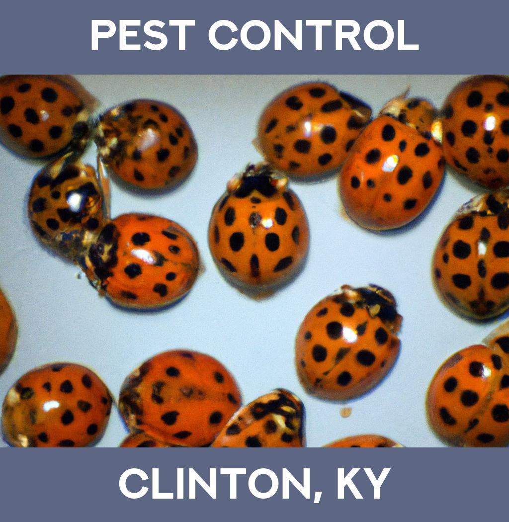 pest control in Clinton Kentucky