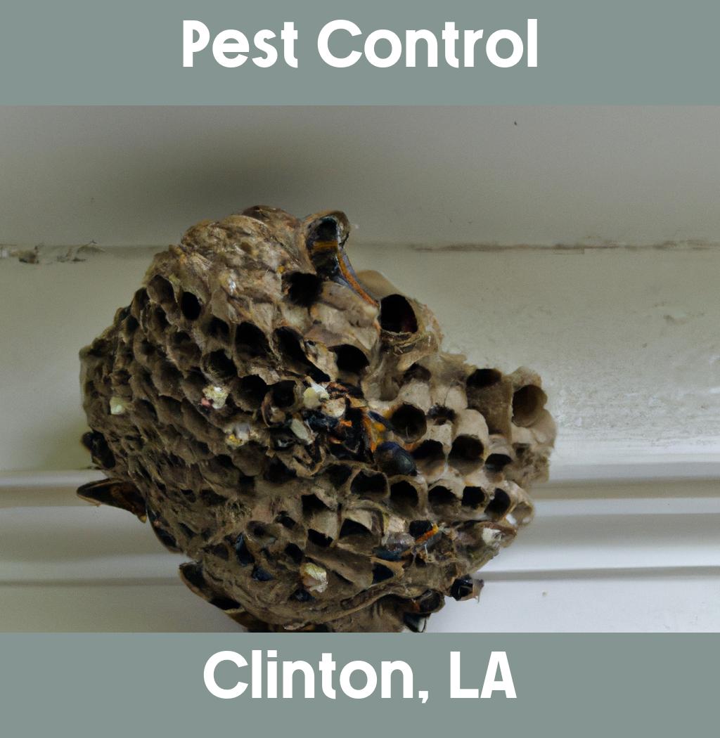 pest control in Clinton Louisiana