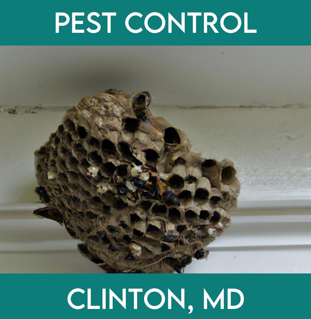 pest control in Clinton Maryland