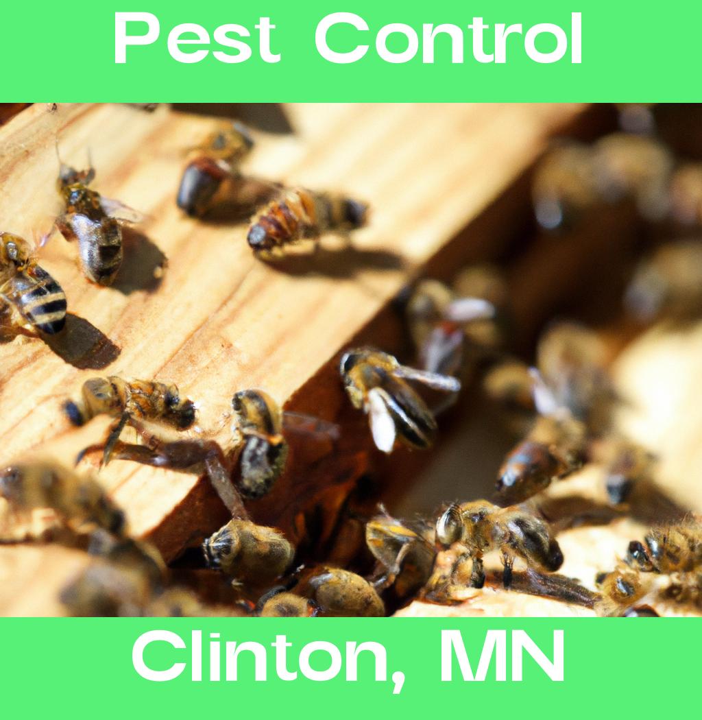 pest control in Clinton Minnesota