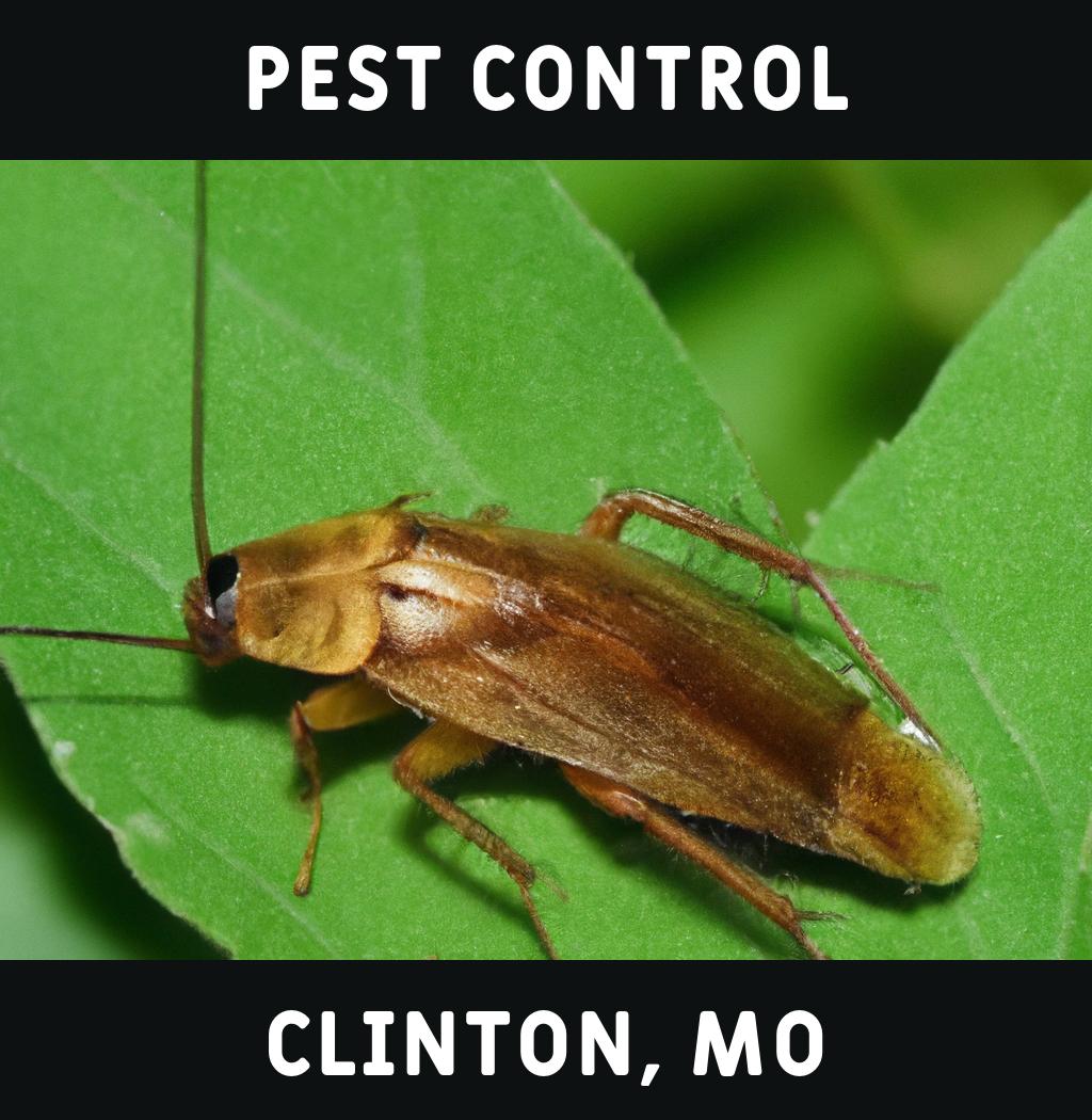 pest control in Clinton Missouri