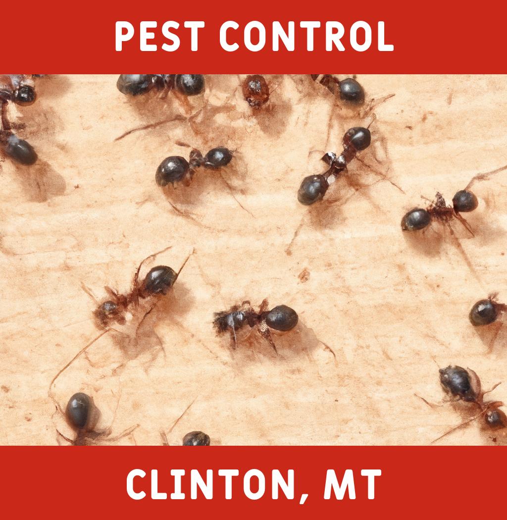 pest control in Clinton Montana