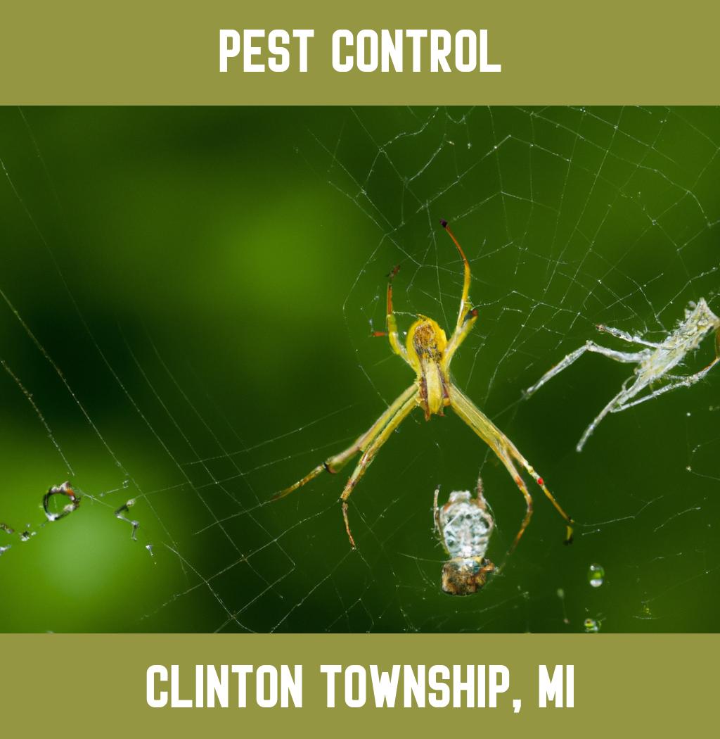 pest control in Clinton Township Michigan
