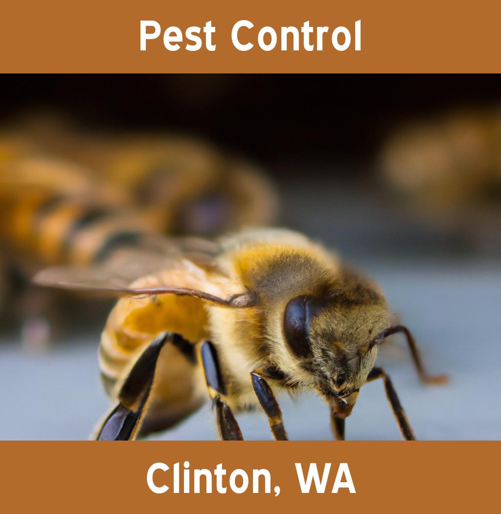 pest control in Clinton Washington