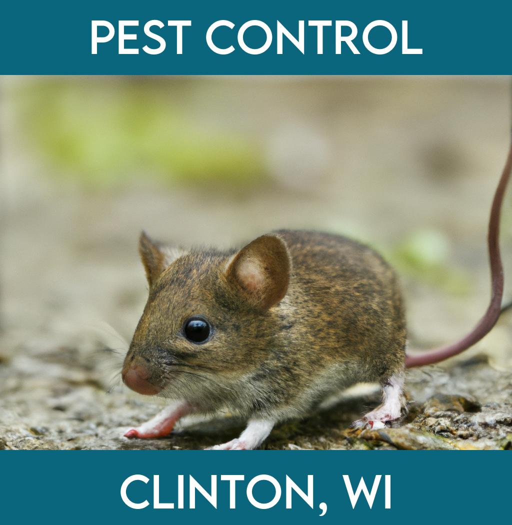 pest control in Clinton Wisconsin