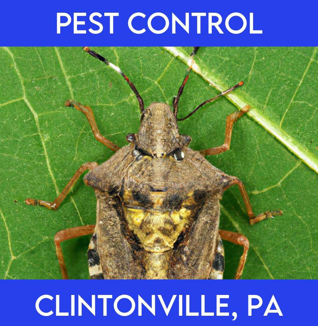 pest control in Clintonville Pennsylvania