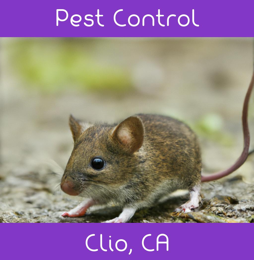 pest control in Clio California