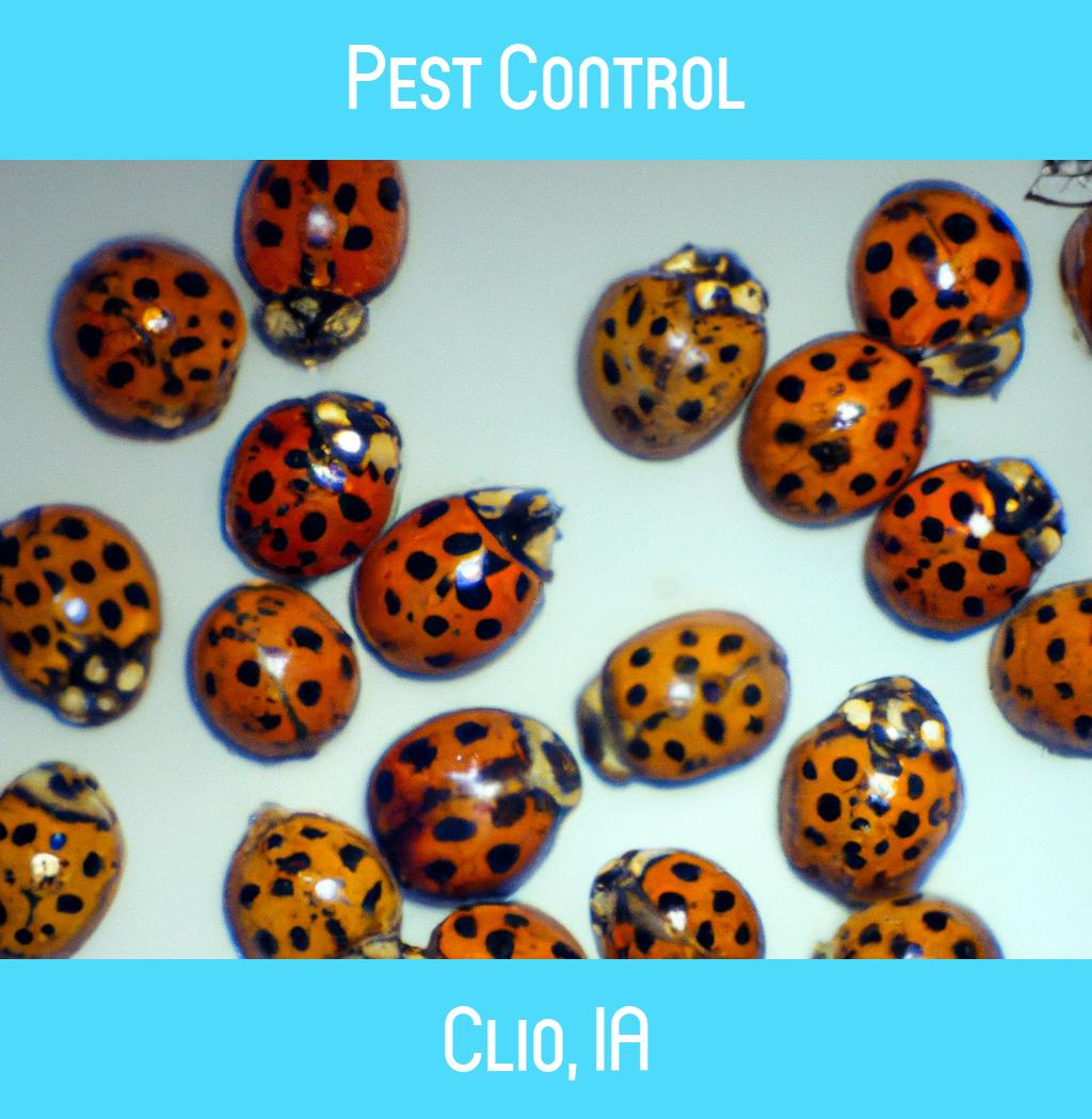 pest control in Clio Iowa