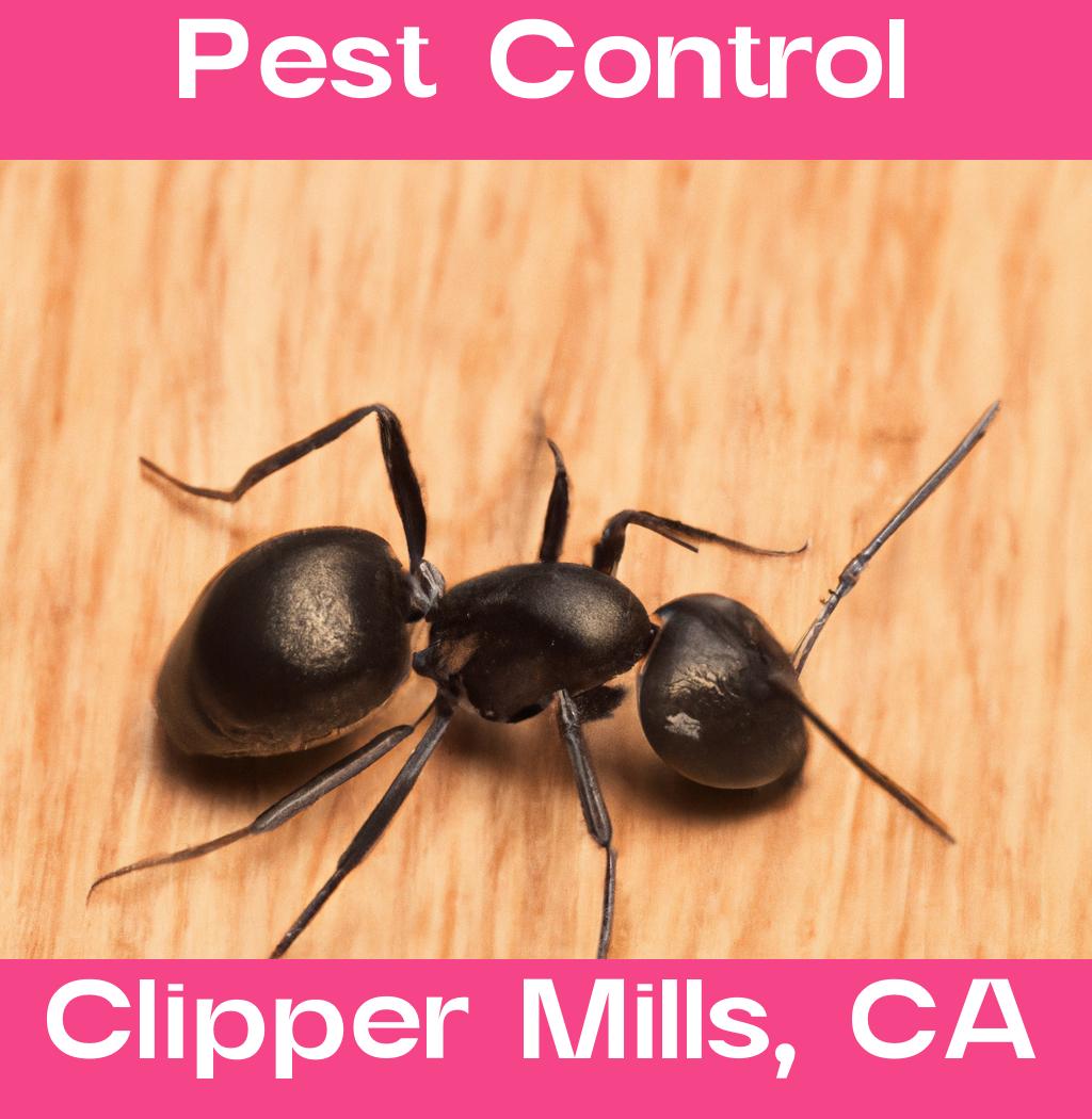 pest control in Clipper Mills California