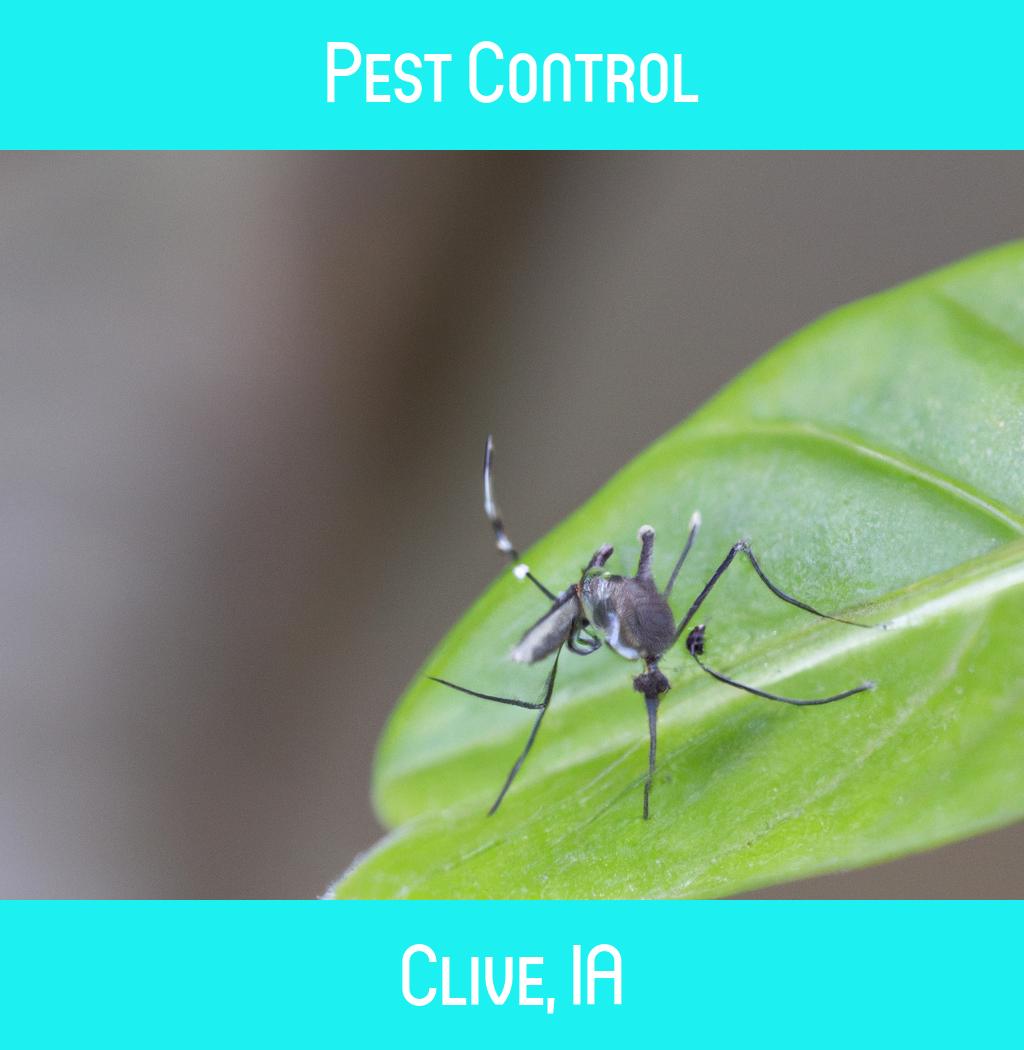 pest control in Clive Iowa