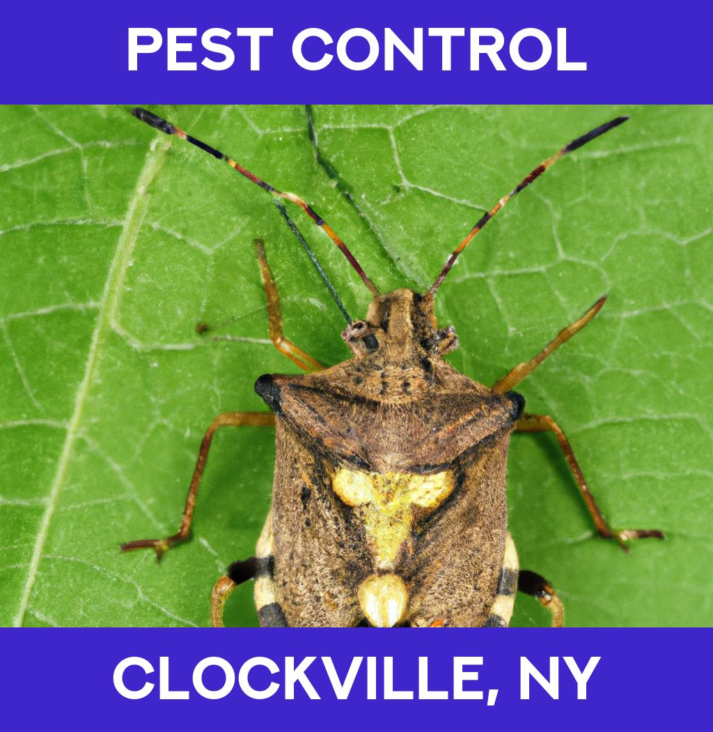 pest control in Clockville New York