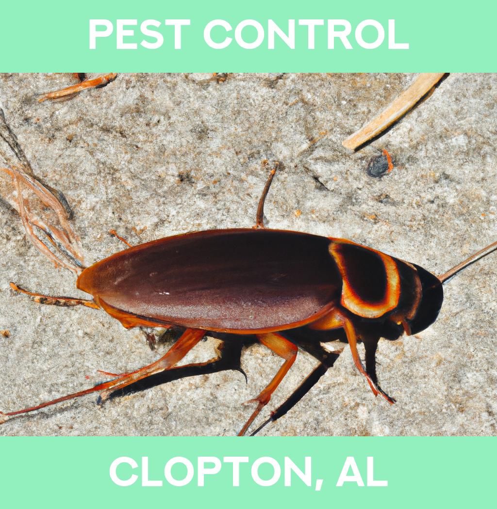 pest control in Clopton Alabama