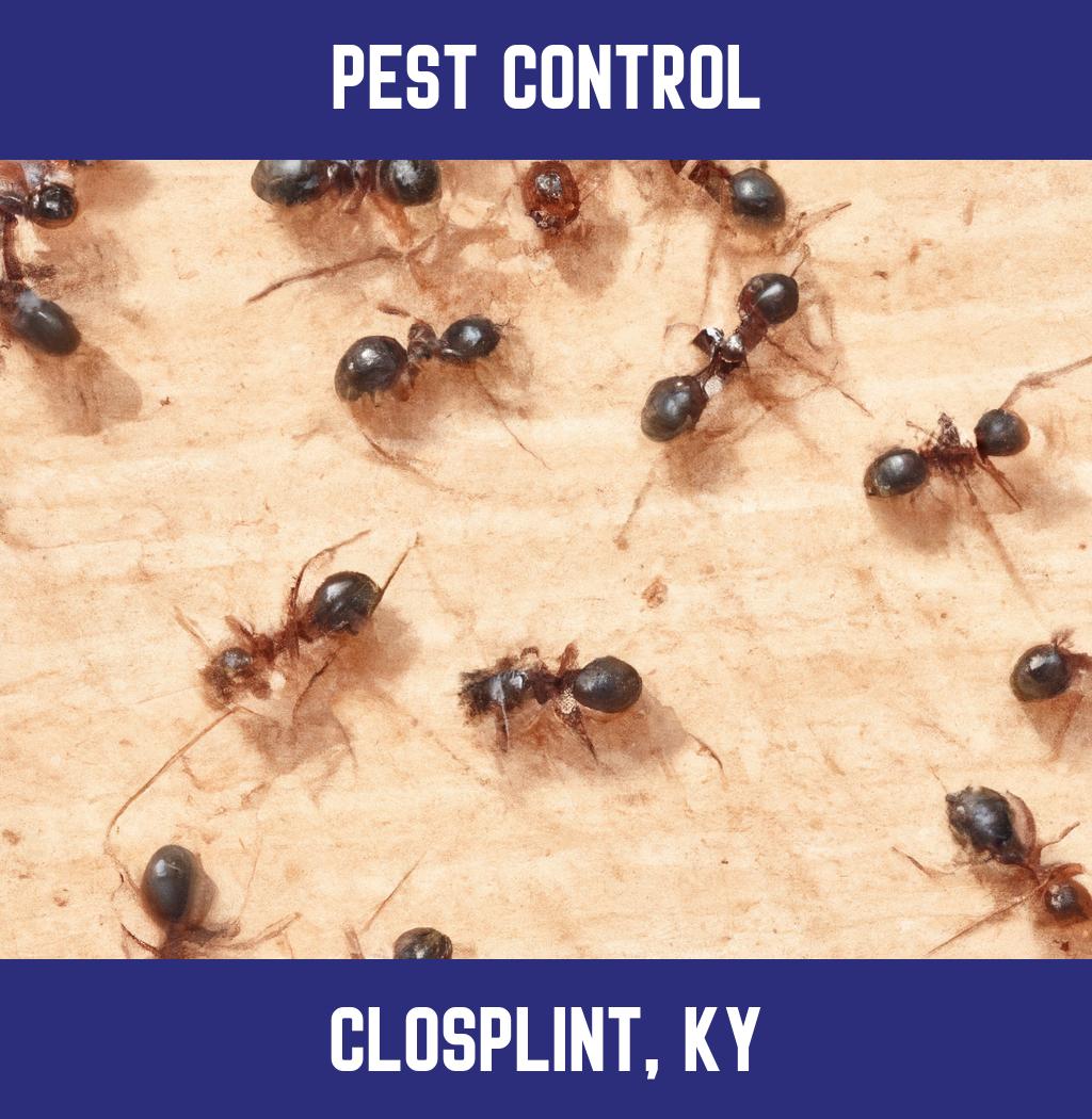 pest control in Closplint Kentucky