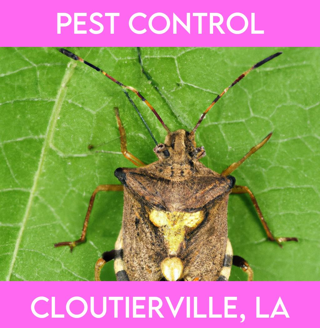 pest control in Cloutierville Louisiana