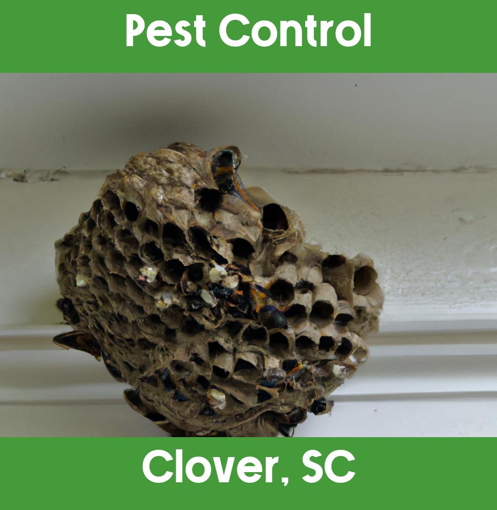 pest control in Clover South Carolina