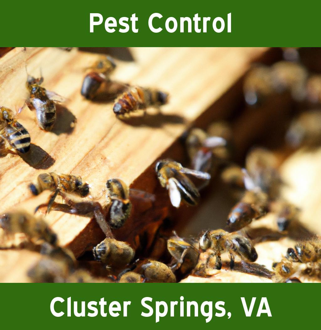 pest control in Cluster Springs Virginia