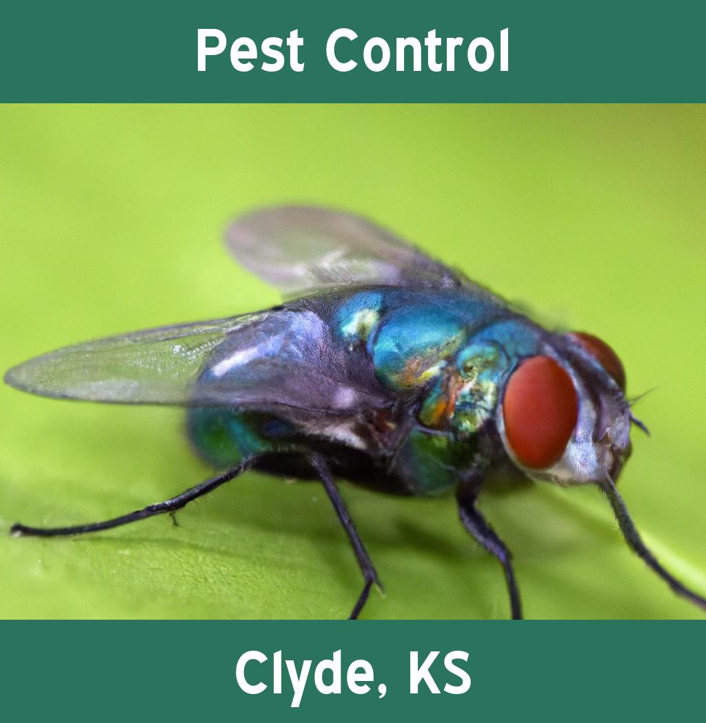 pest control in Clyde Kansas