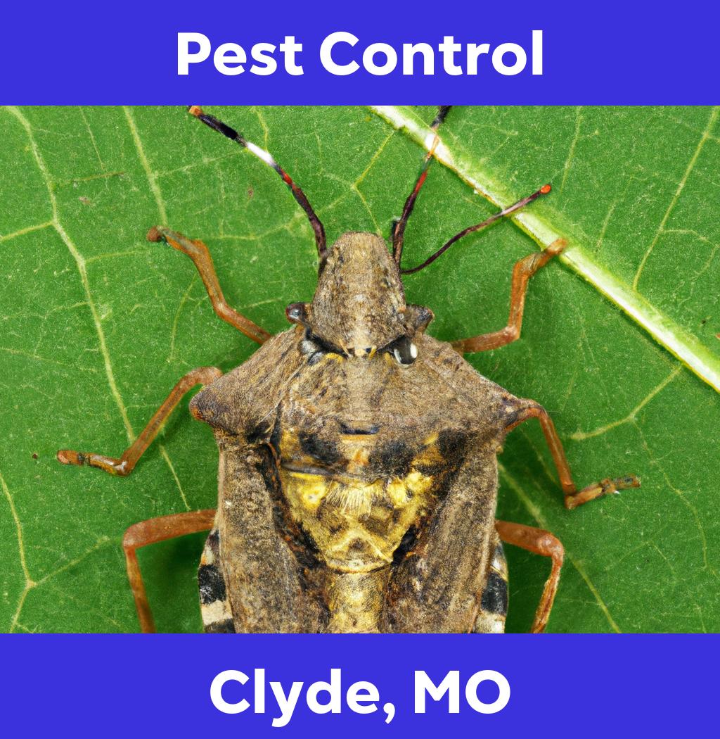 pest control in Clyde Missouri