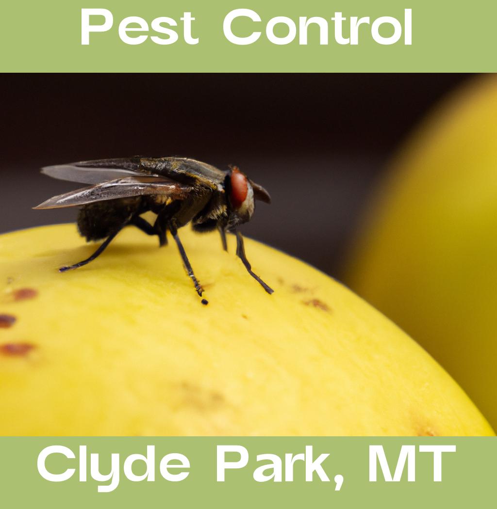 pest control in Clyde Park Montana
