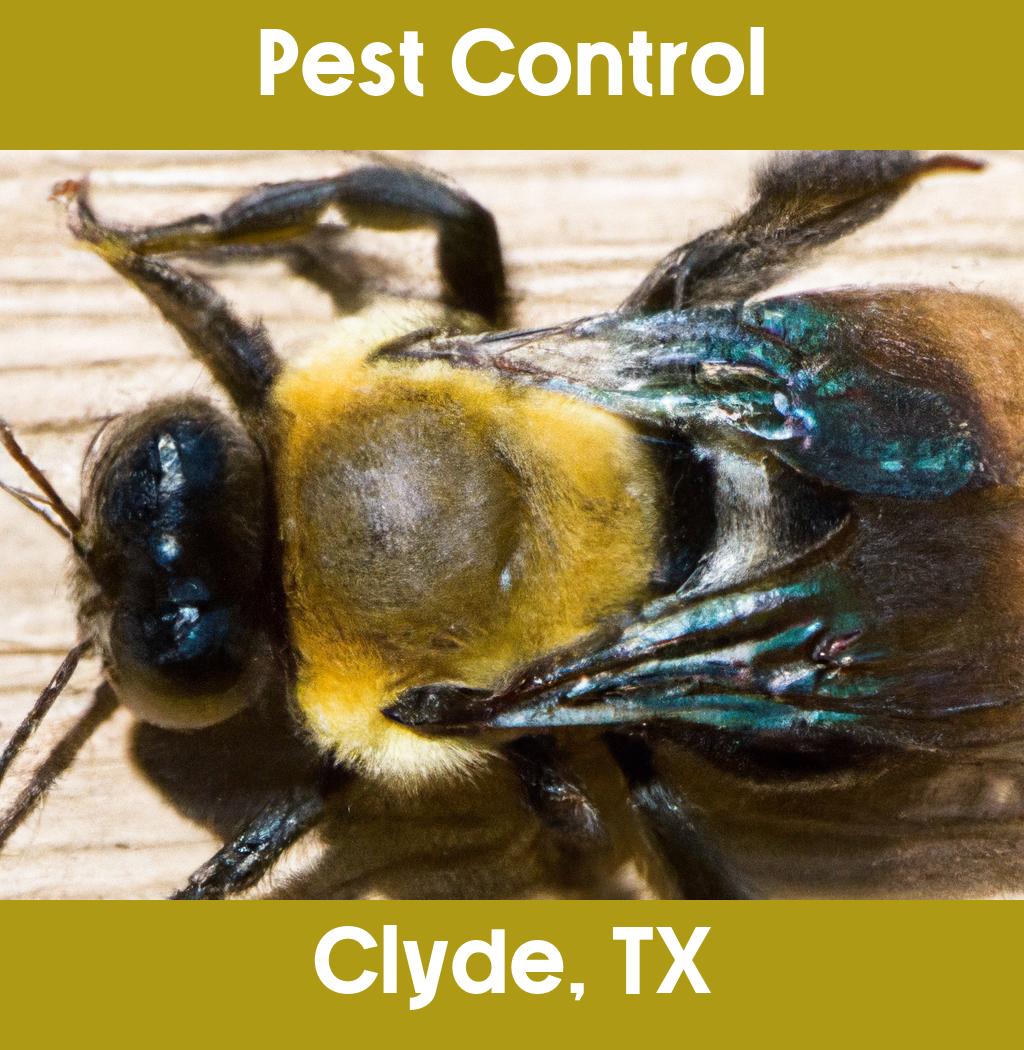 pest control in Clyde Texas