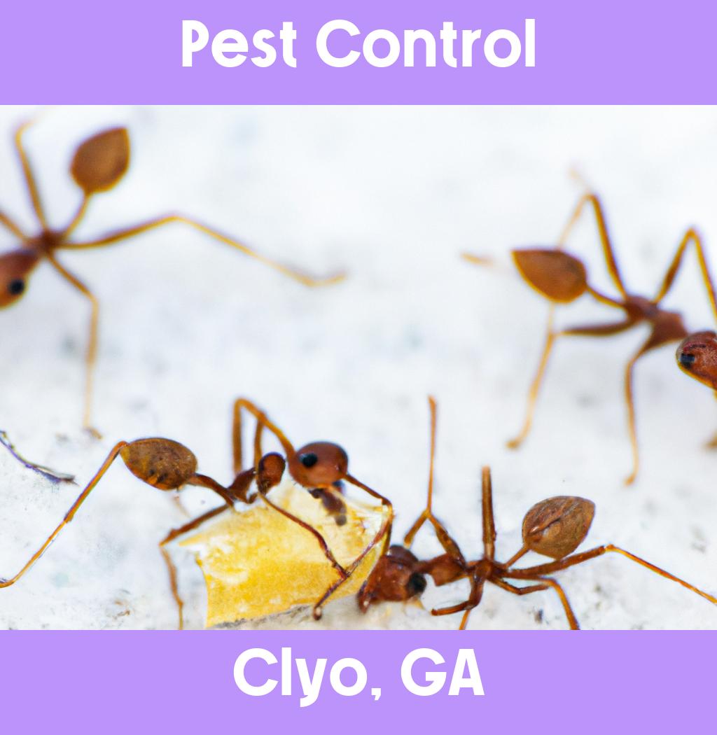 pest control in Clyo Georgia