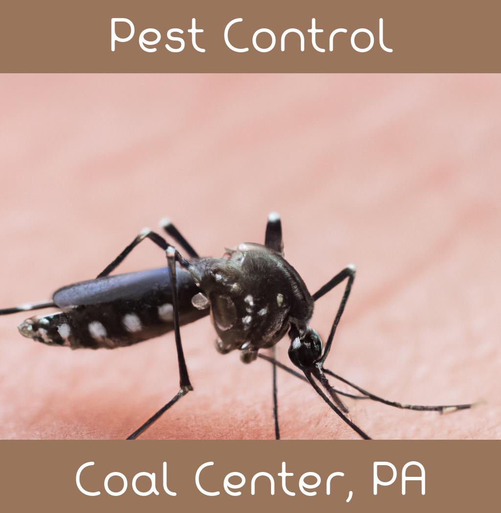 pest control in Coal Center Pennsylvania