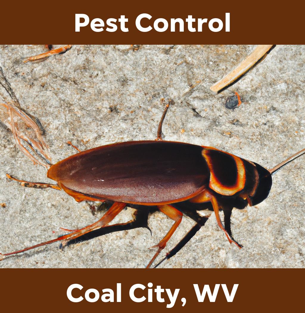 pest control in Coal City West Virginia