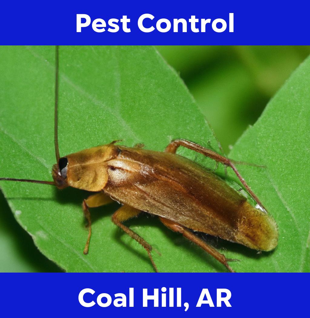 pest control in Coal Hill Arkansas