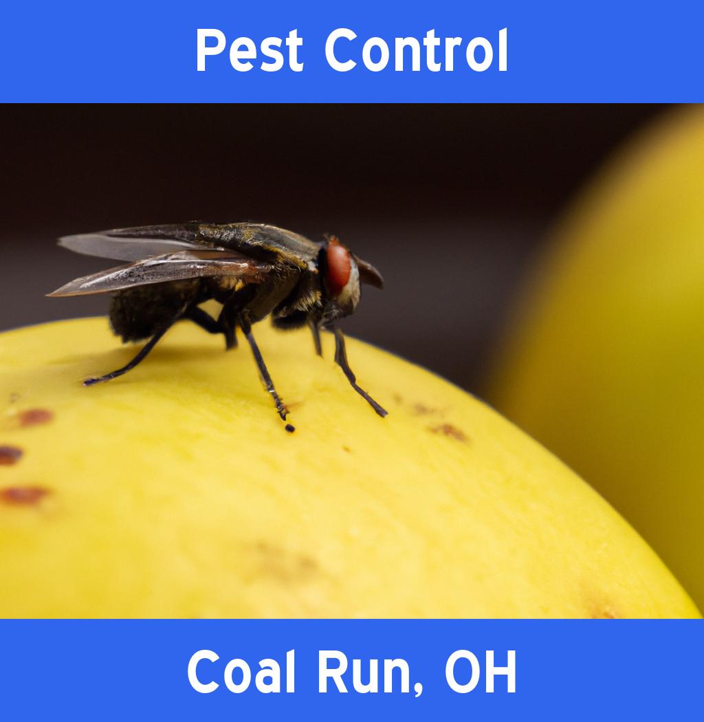 pest control in Coal Run Ohio