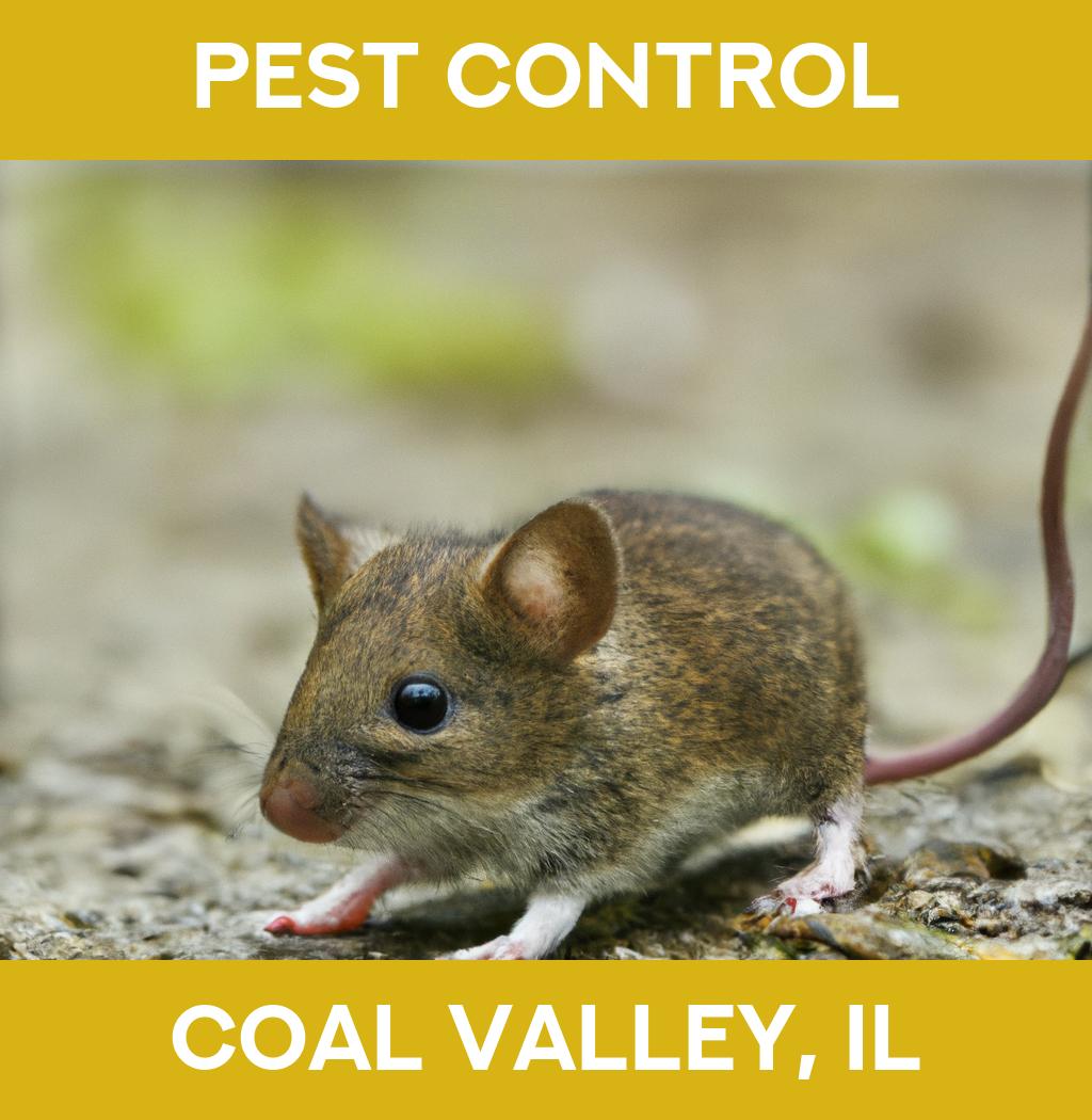 pest control in Coal Valley Illinois
